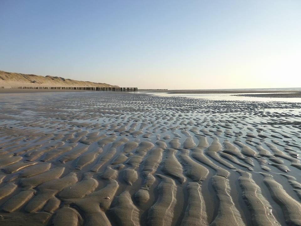 Apartamento La Casa Aan Zee Ellemeet Exterior foto